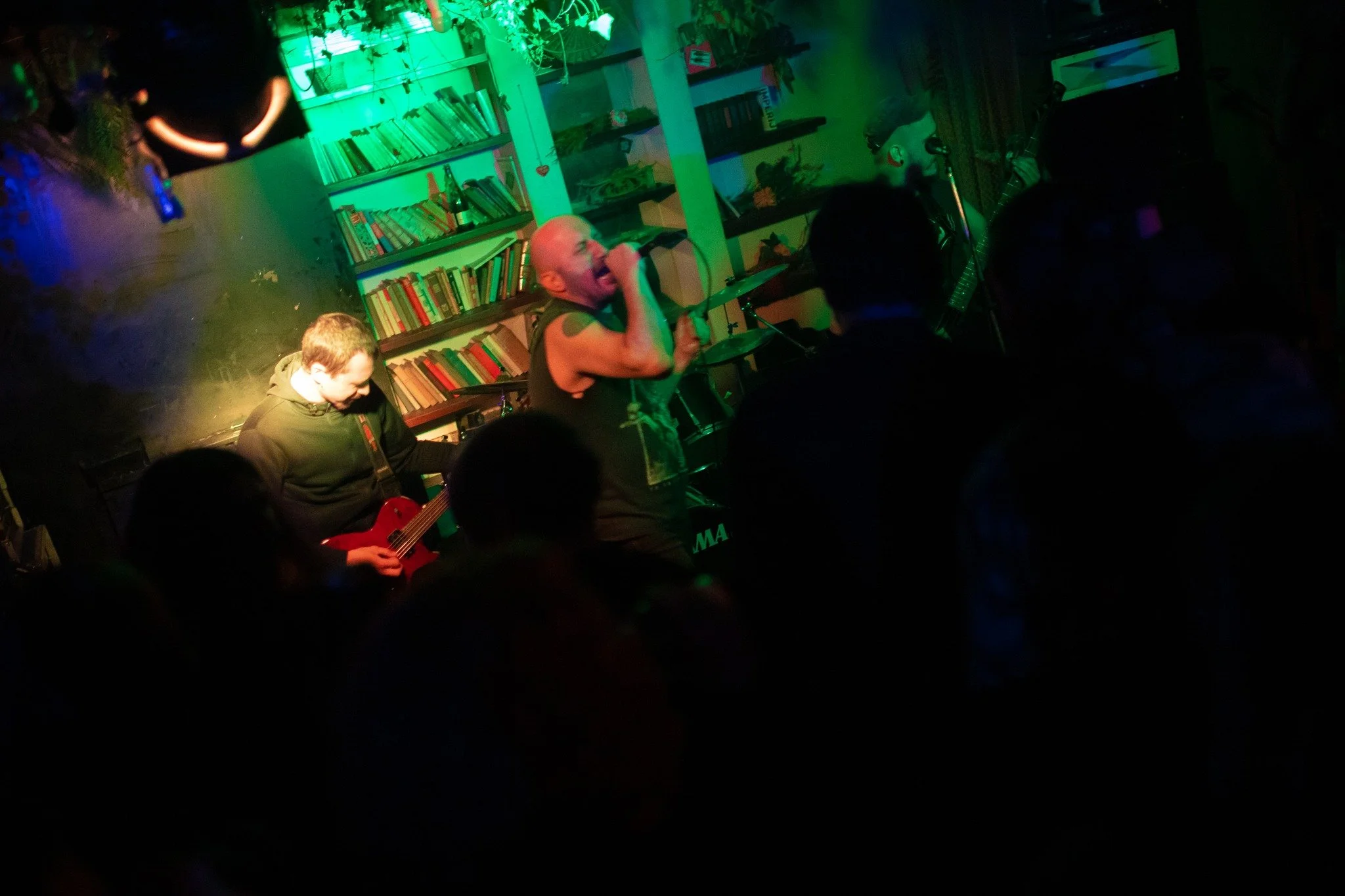 A band performs on a small stage in a cozy, dimly lit venue with green lighting, featuring a singer, guitarist, and drummer, surrounded by bookshelves and leafy decor.