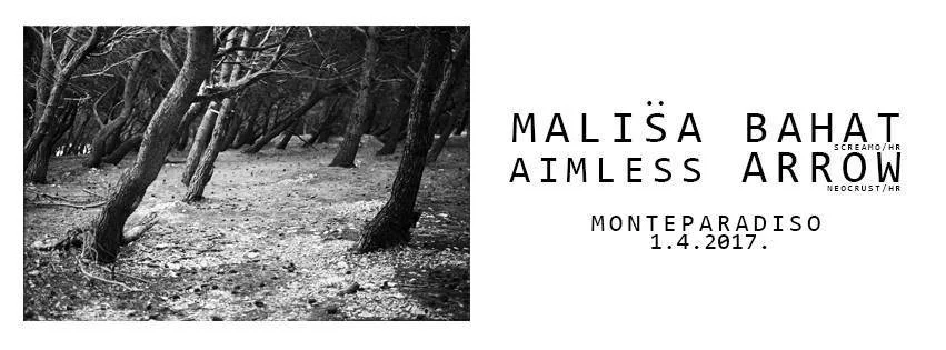 Black and white photo of a forest with leaning trees on a dirt path, next to a graphic with text about Malisa Bahat, Aimless Arrow, Monteparadiso, and a date of April 1, 2017.