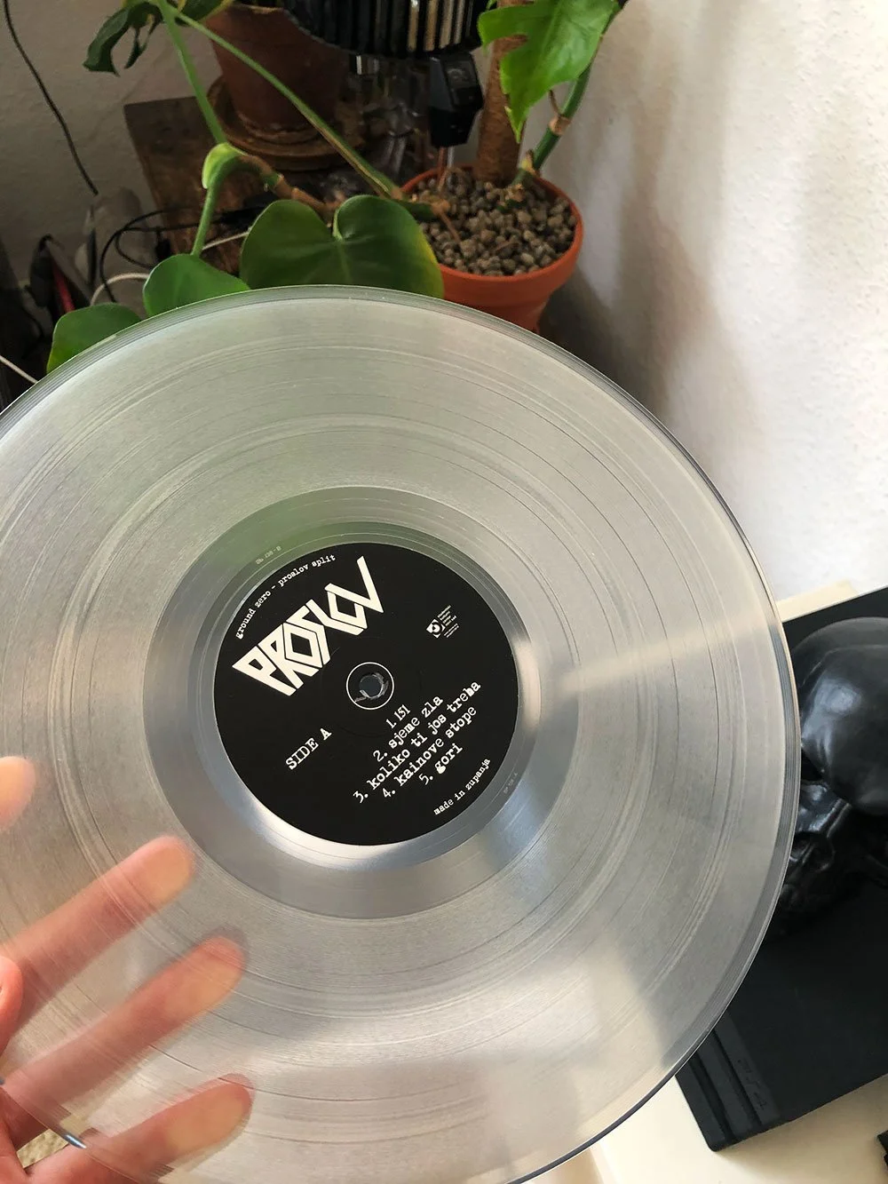 A transparent vinyl record with a black center label held in front of houseplants on a white wall background.