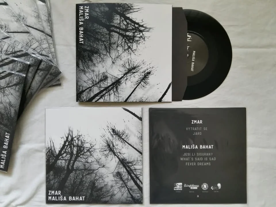 Collection of music records and packaging featuring black-and-white photographs of leafless trees in a forest on the covers.