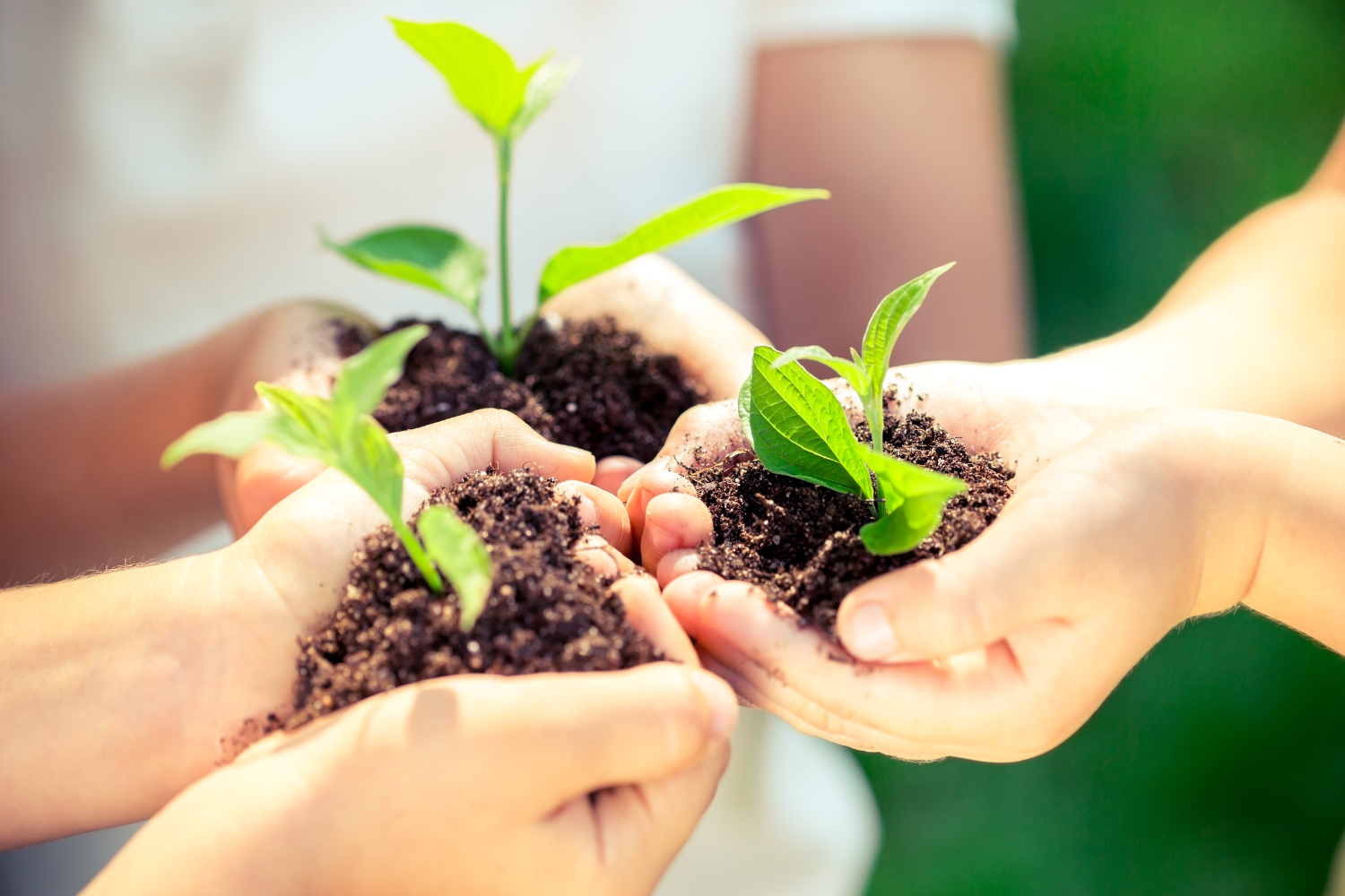Earth Day Clean Up at Bray Park