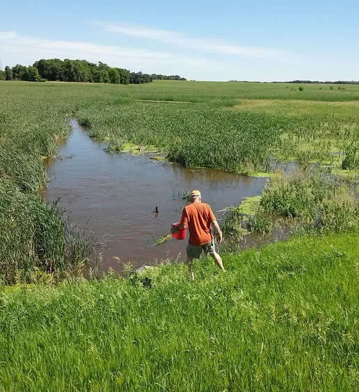 Citizen Stream Monitoring