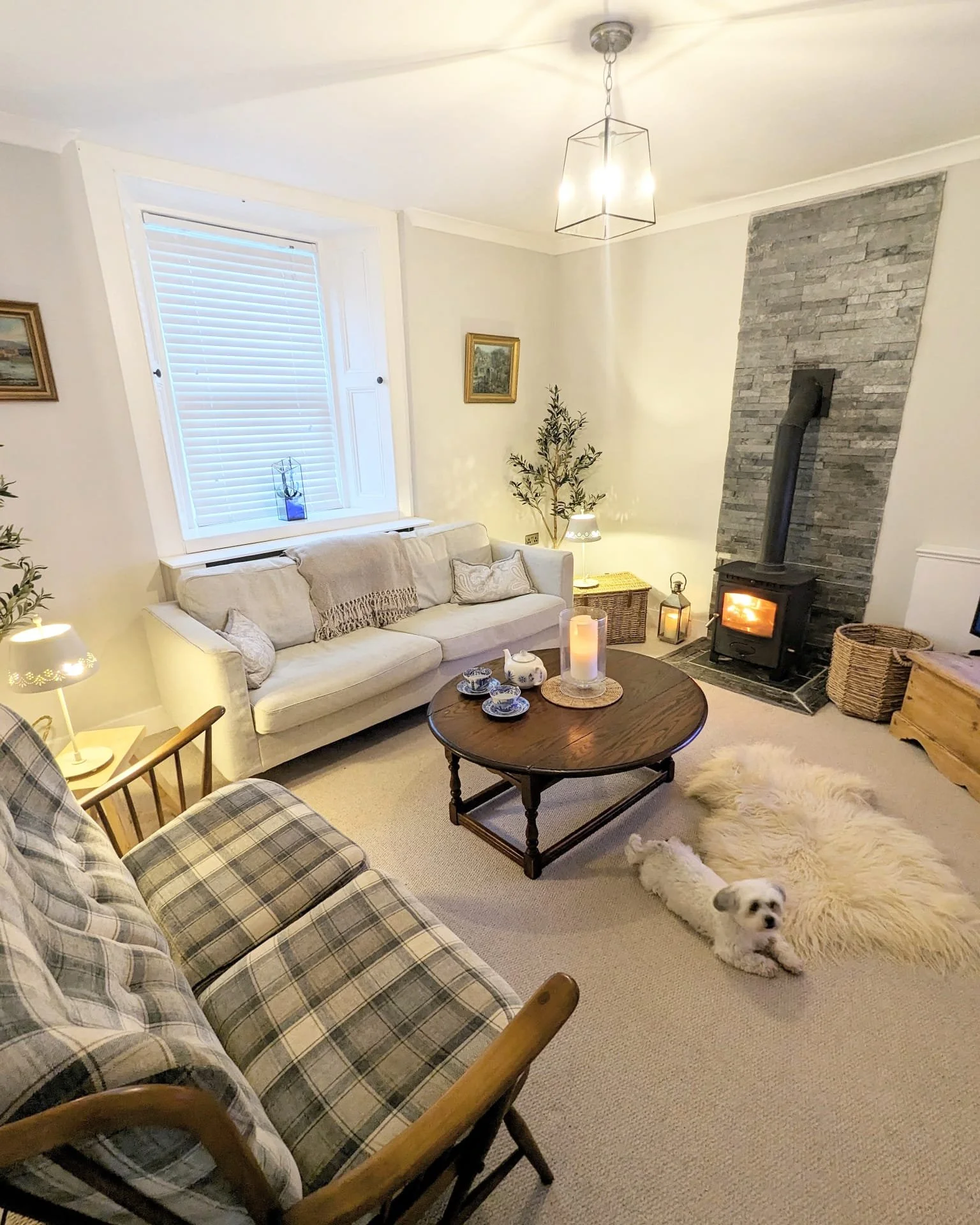 Living room with cozy decor, wood stove, and a small dog lying on a fluffy rug.
