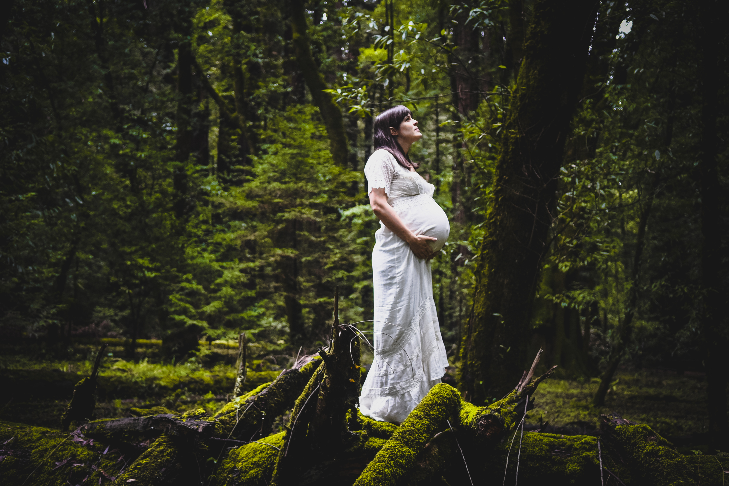 Redwoods Maternity Shoot