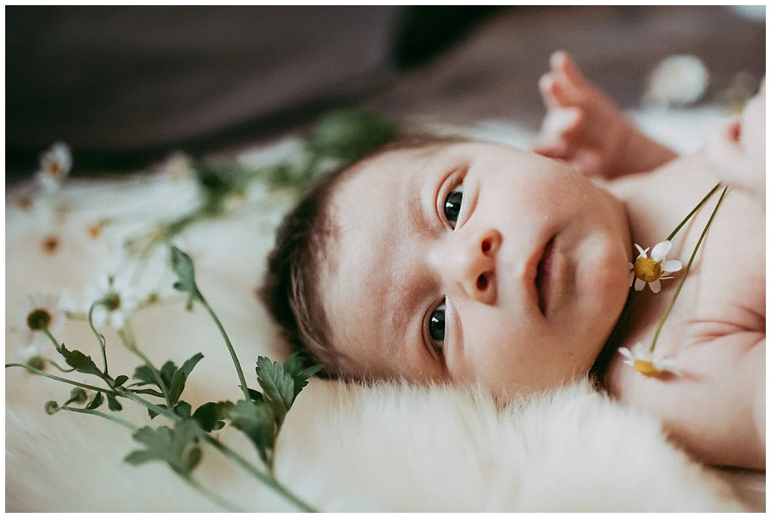 sunshine-lady-fort-collins-colorado-lifestyle-newborn-photographer.jpg