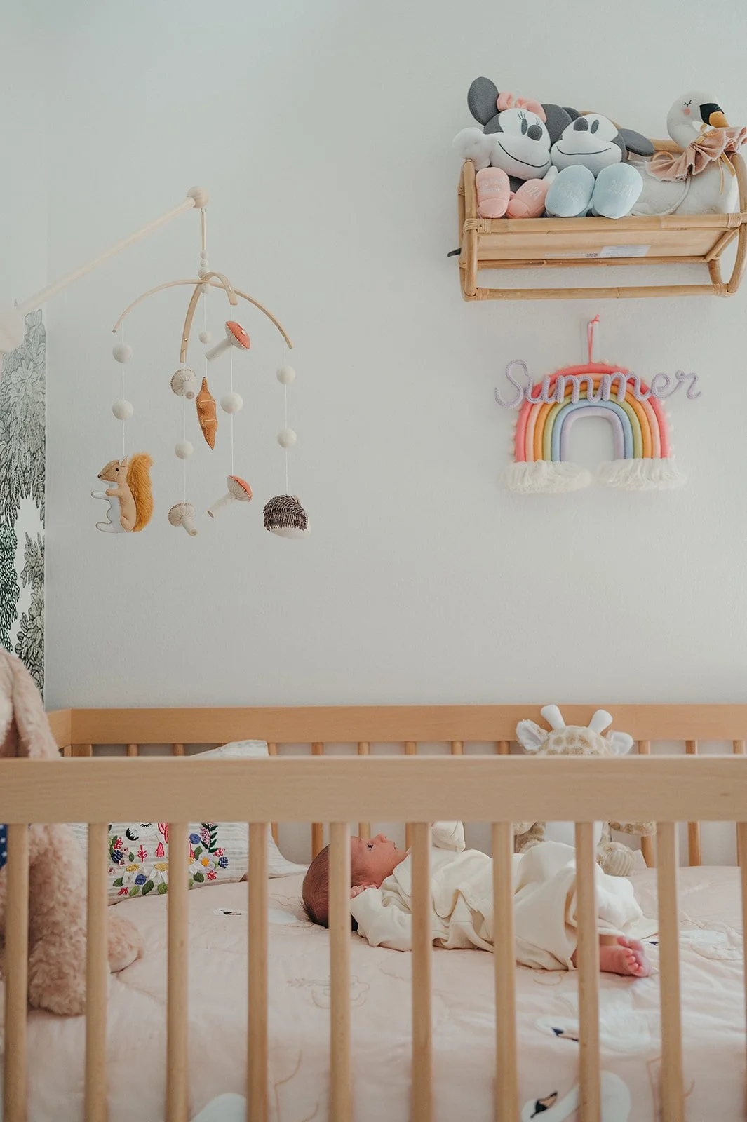 Newborn Sessions with Pets | Boulder, Colorado | Sunshine Lady Photography 