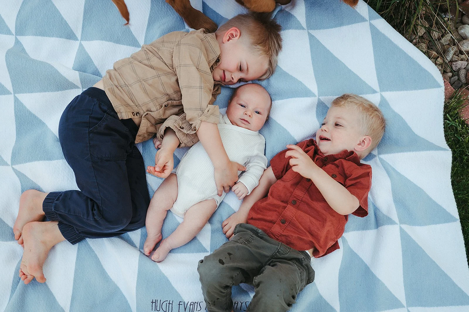 Puppies and Babies and Chaos, Oh My! | Louisville, Colorado 