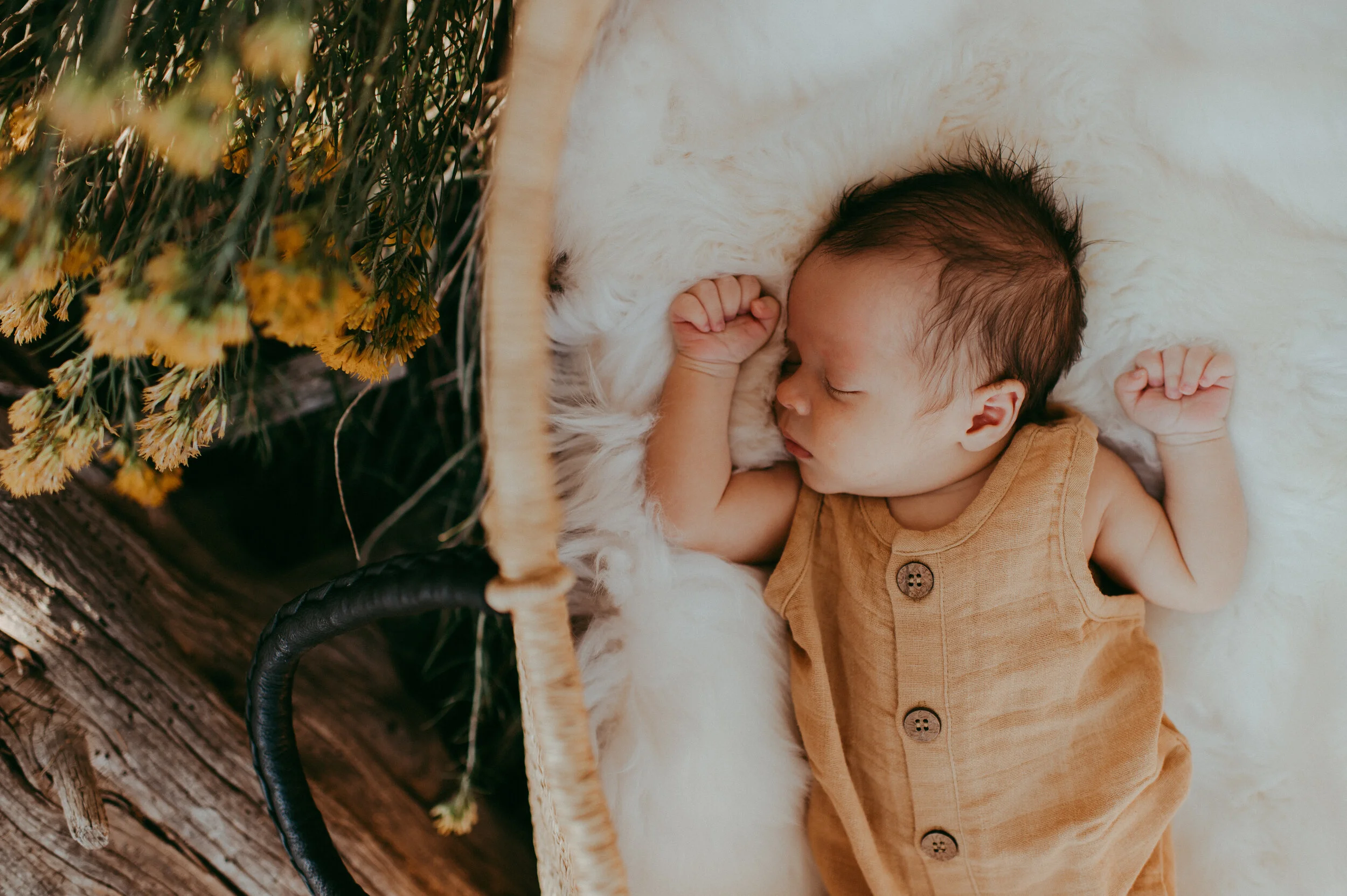 Enzo is Here! | Fort Collins Outdoor Newborn Photography | Sunshine Lady Photography 