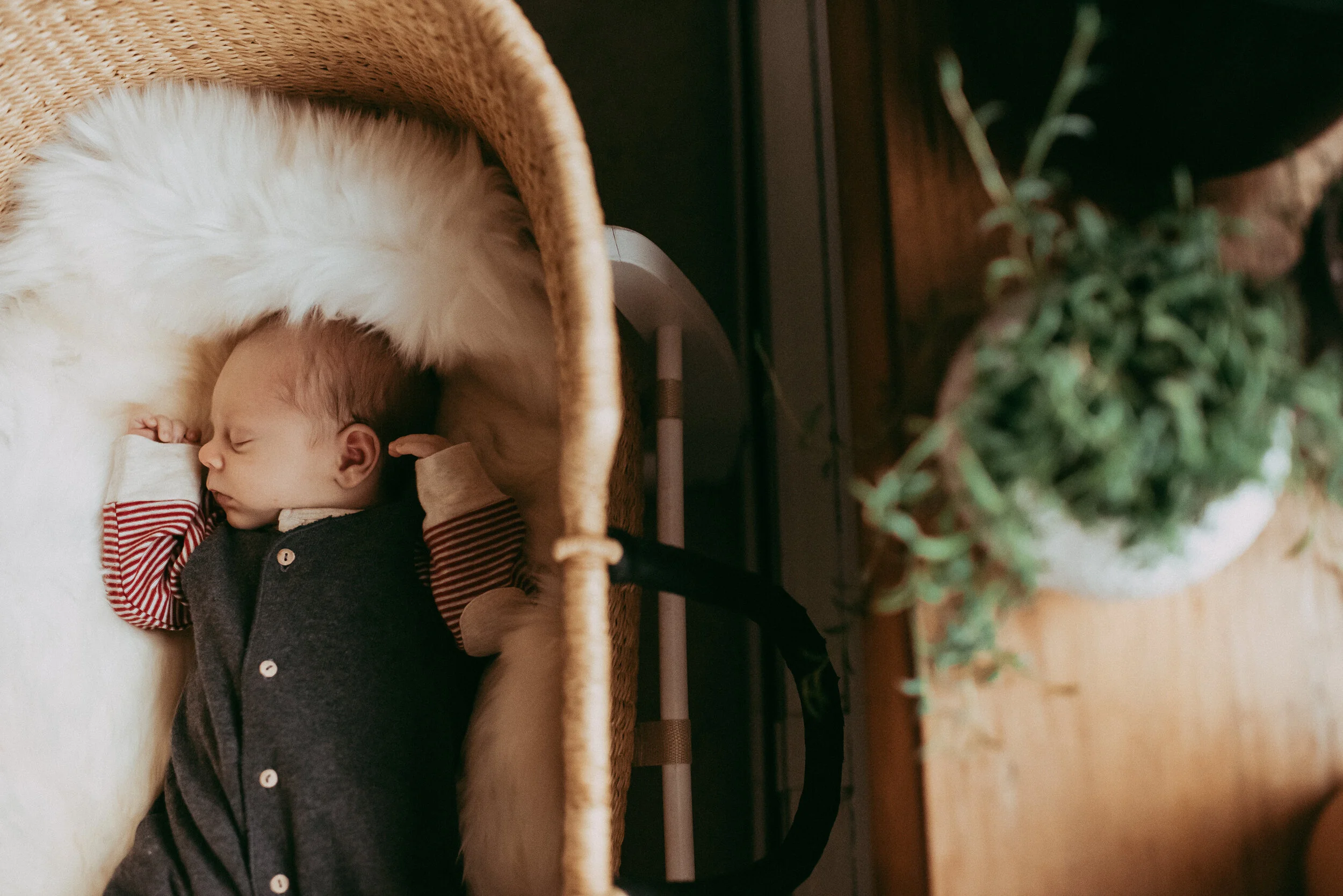baby-lying-in-boho-moses-basket-photo-by-sunshine-lady-photography.jpg