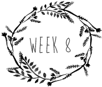 week8.png