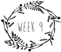 week9.png