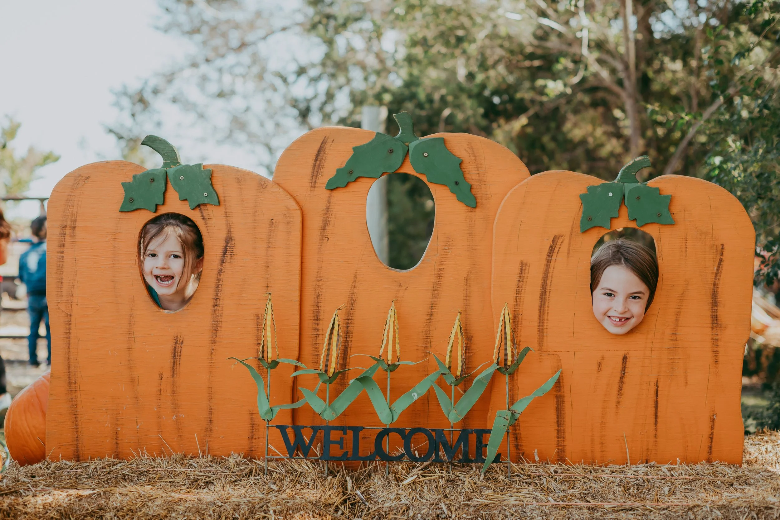The S Word | Fall is Here | Sunshine Lady Photography  