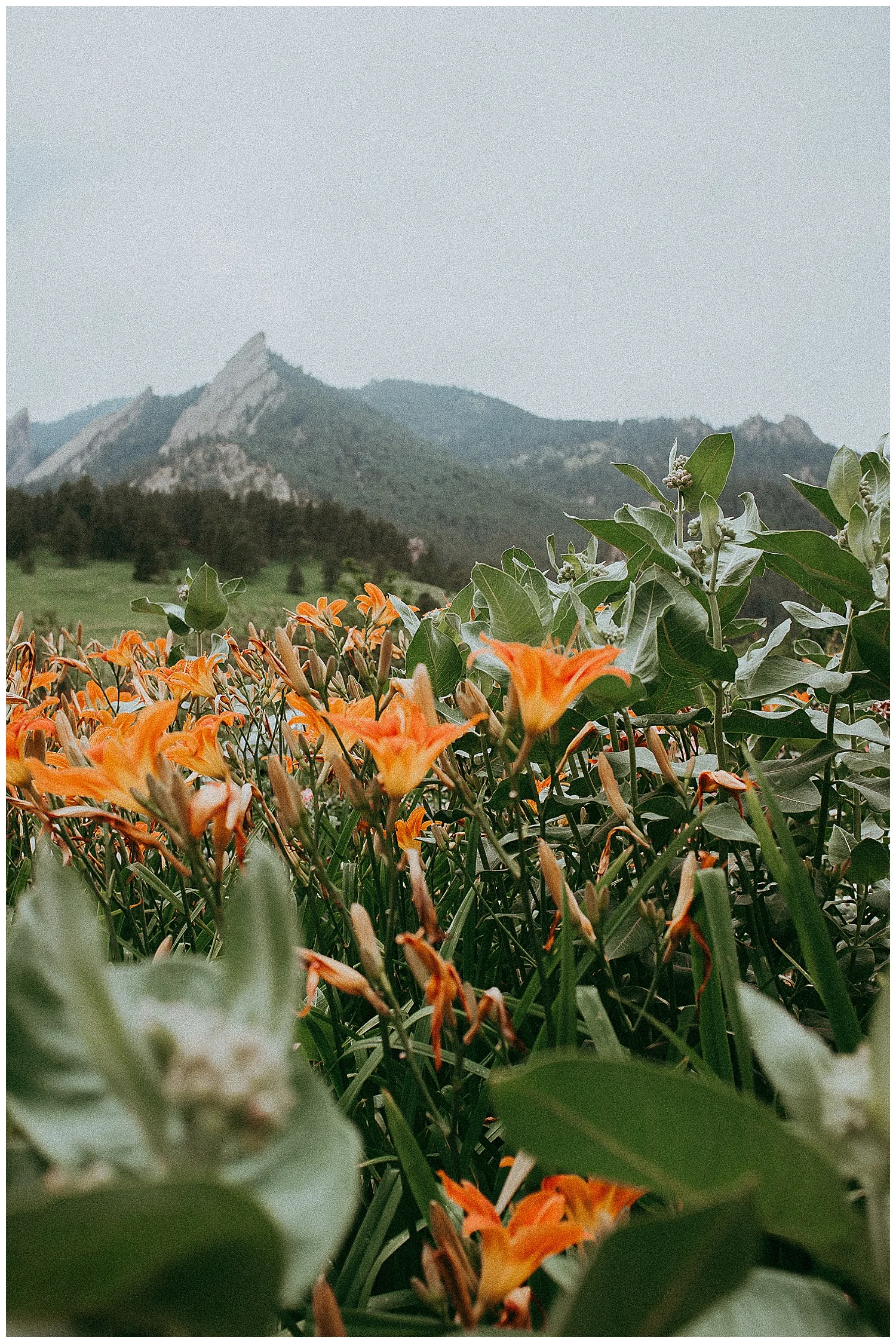 Copy of sunshine-lady-colorado+california-photography-boulder-family-hike.jpeg