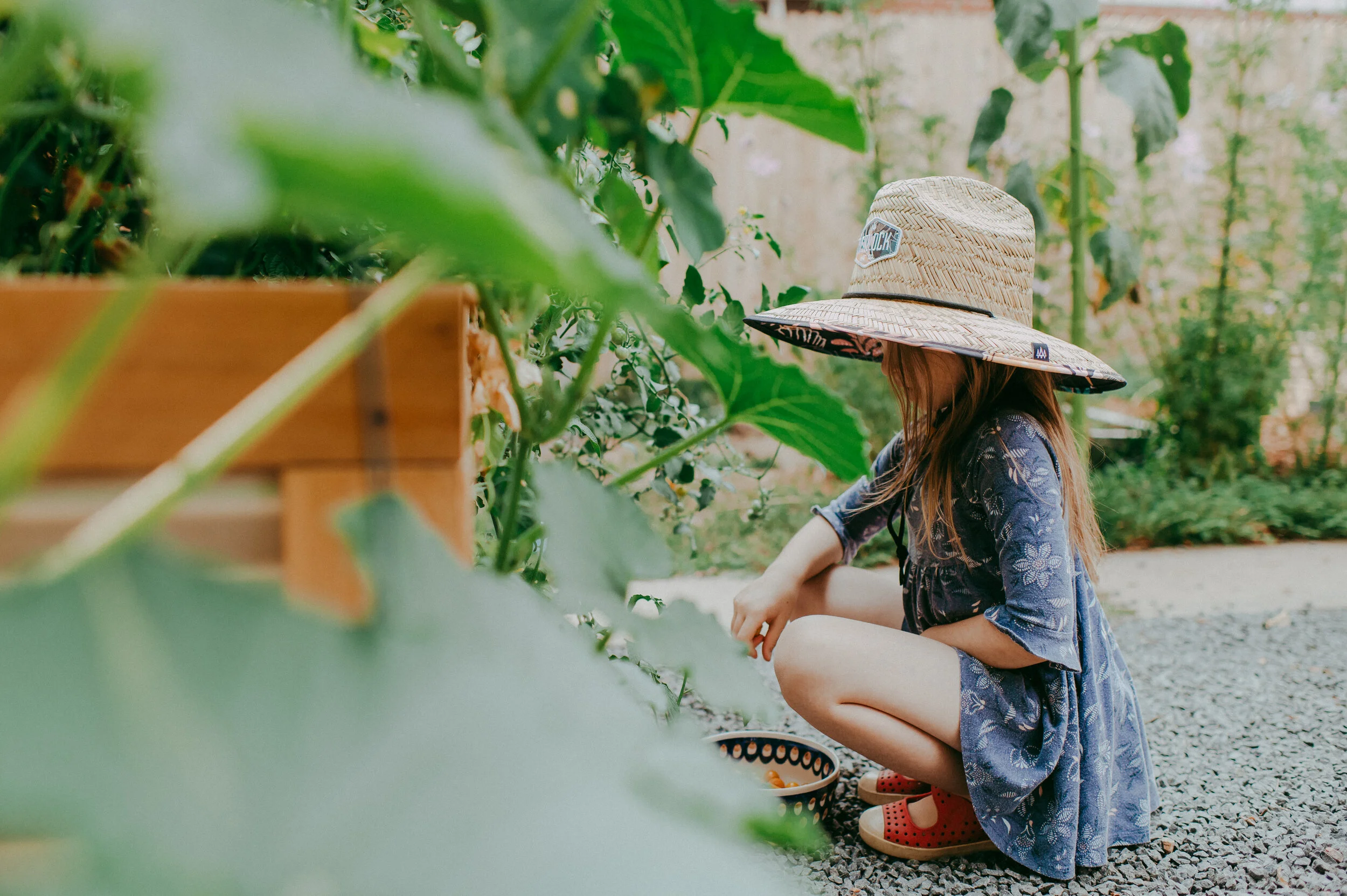 Colorado Photographer | Goodbye Garden | Sunshine Lady Photography