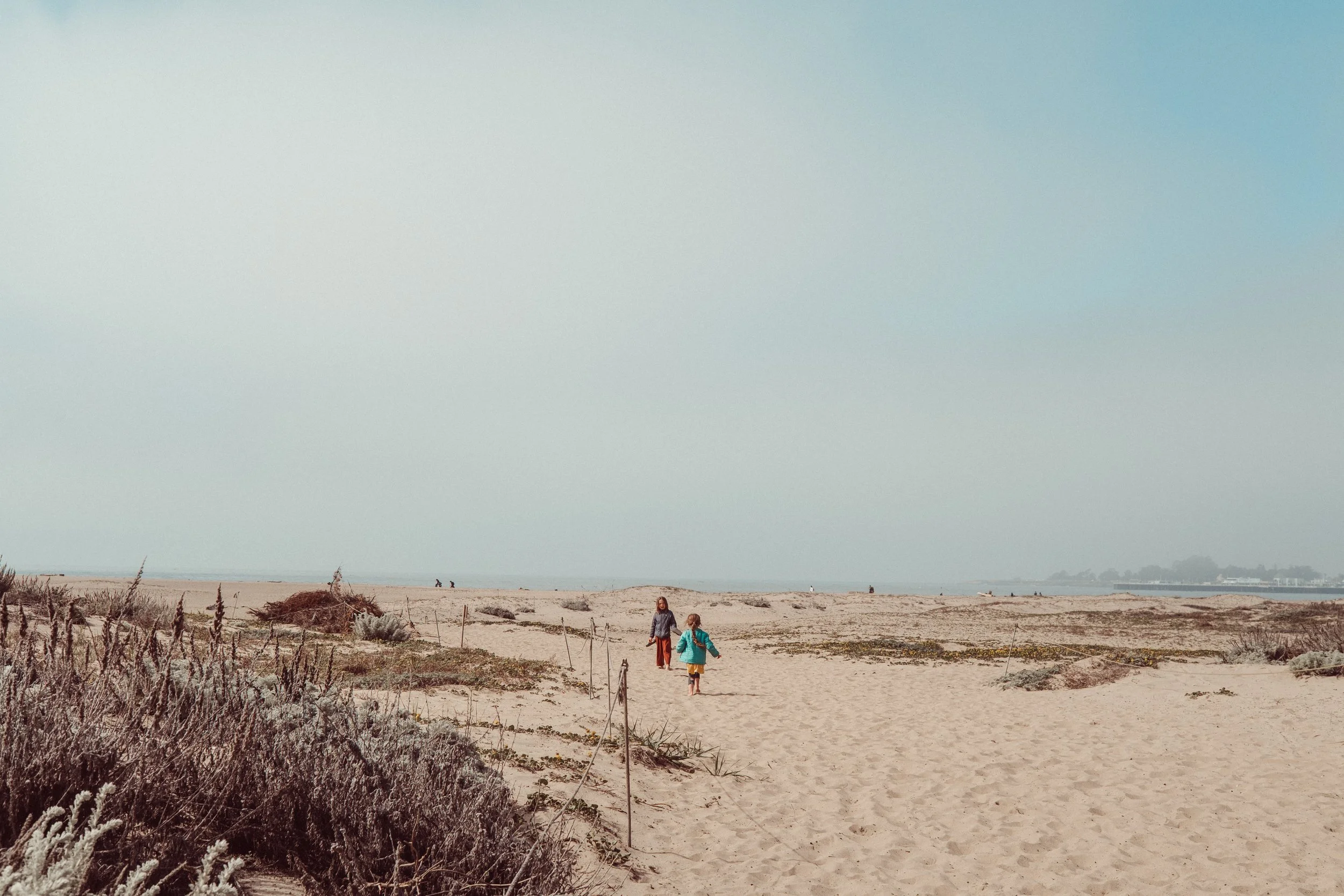 The S Word | California Spring| Sunshine Lady Photography  