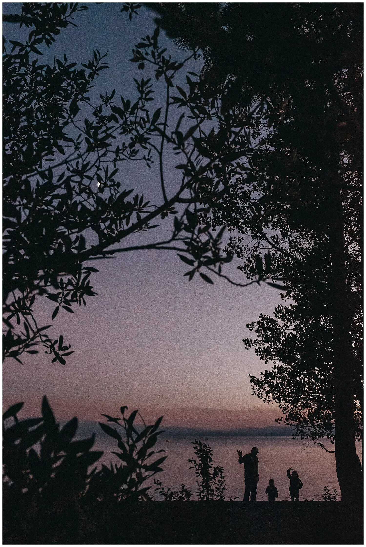 sunshine-lady-colorado+california-photography-family-lake-tahoe.jpeg
