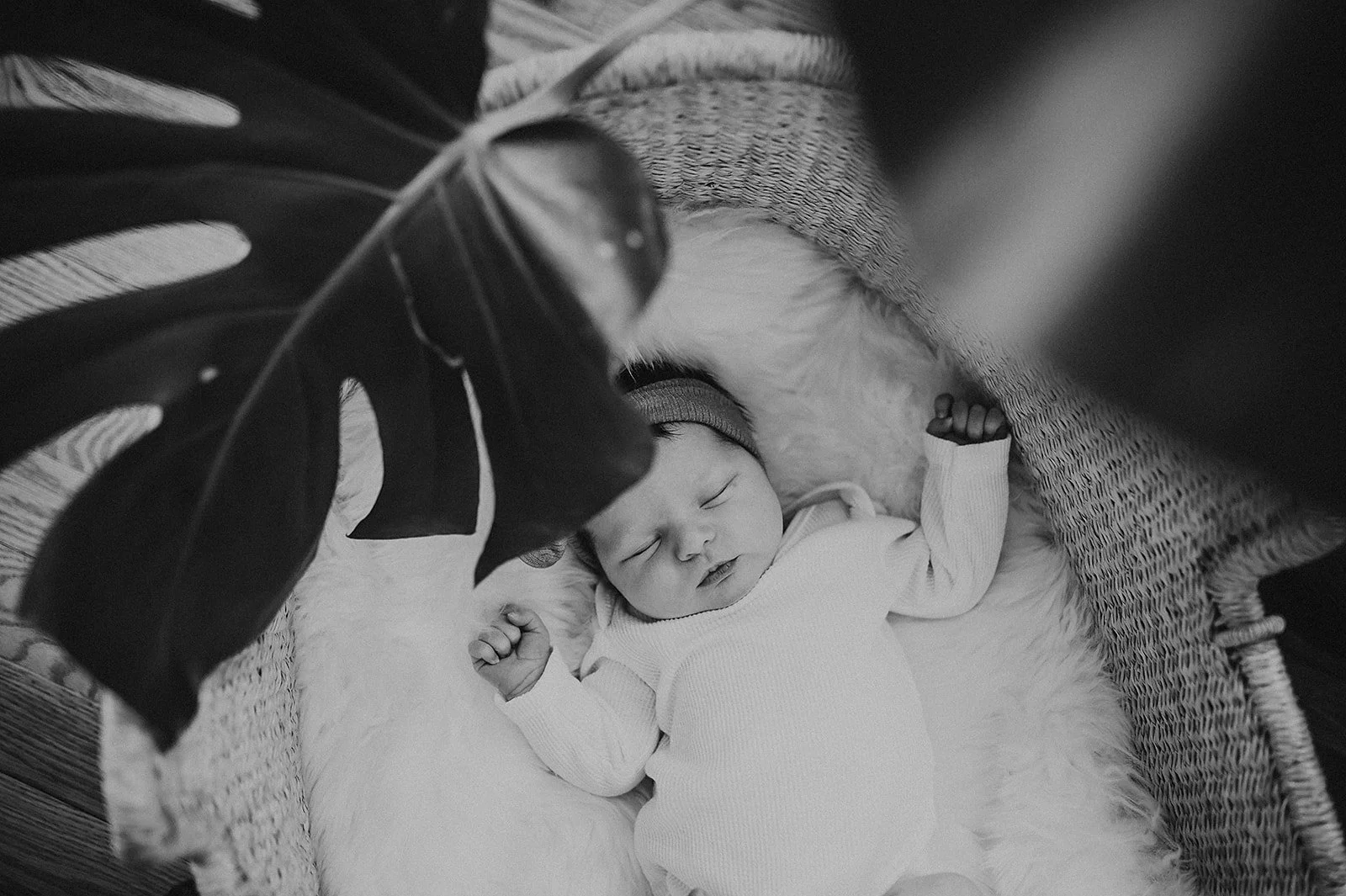 Black and white photo of newborn in baby basket. 