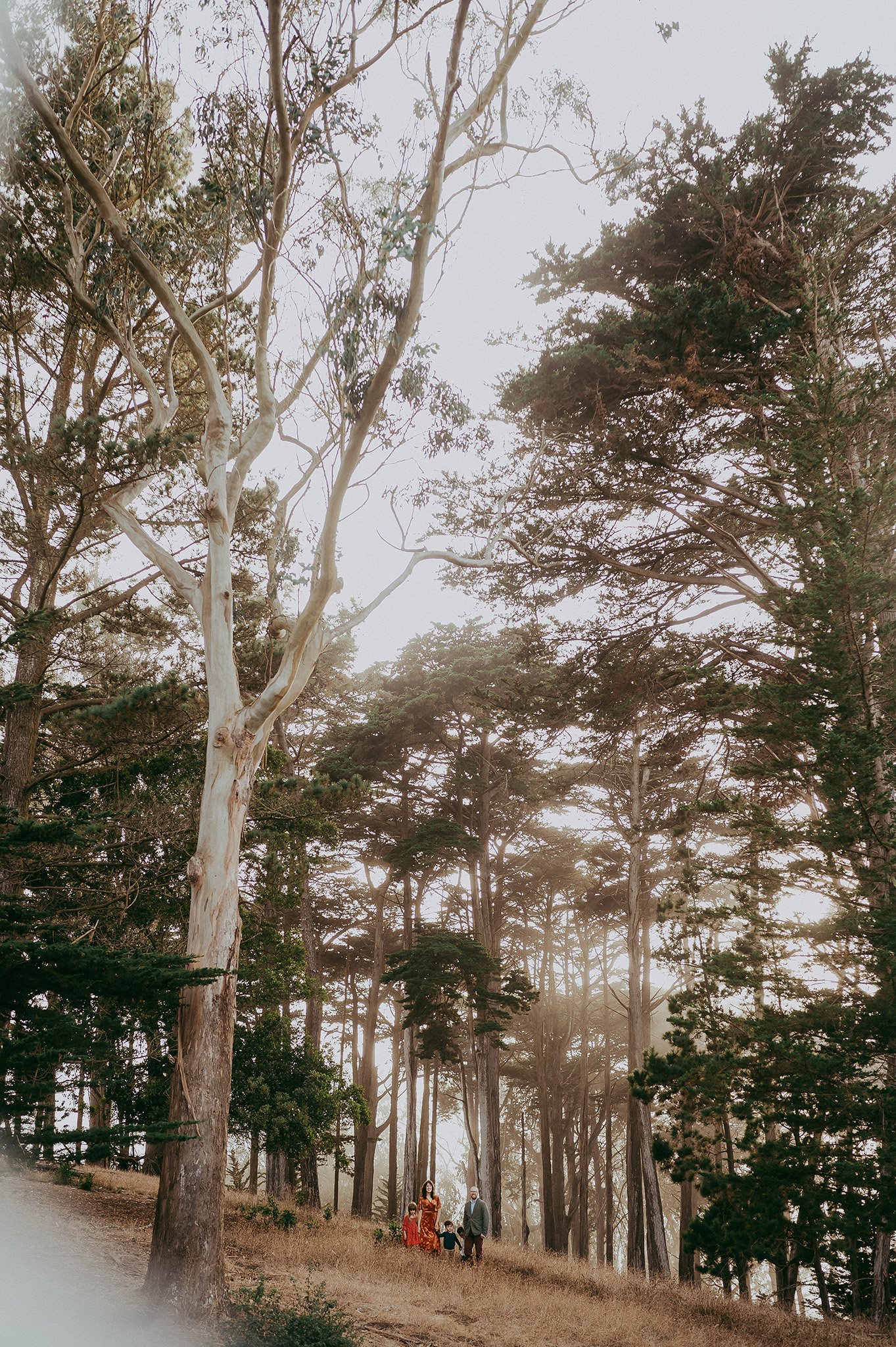 Family photo in eucalyptus trees of San Francisco. 