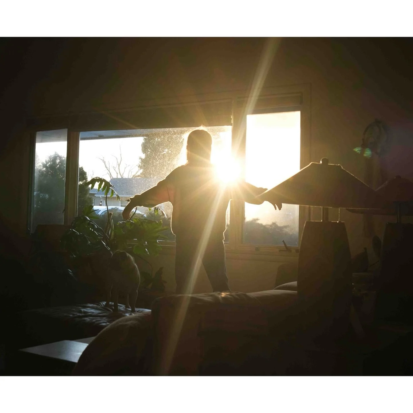 Do you ever just stop to admire the light? 

📸

Our community of @clickprophotographers have come together to amplify our voice as women photographers. Next up is @kirstylarmour 

To see more work from our amazing Click Pro Elites, check out @clickp