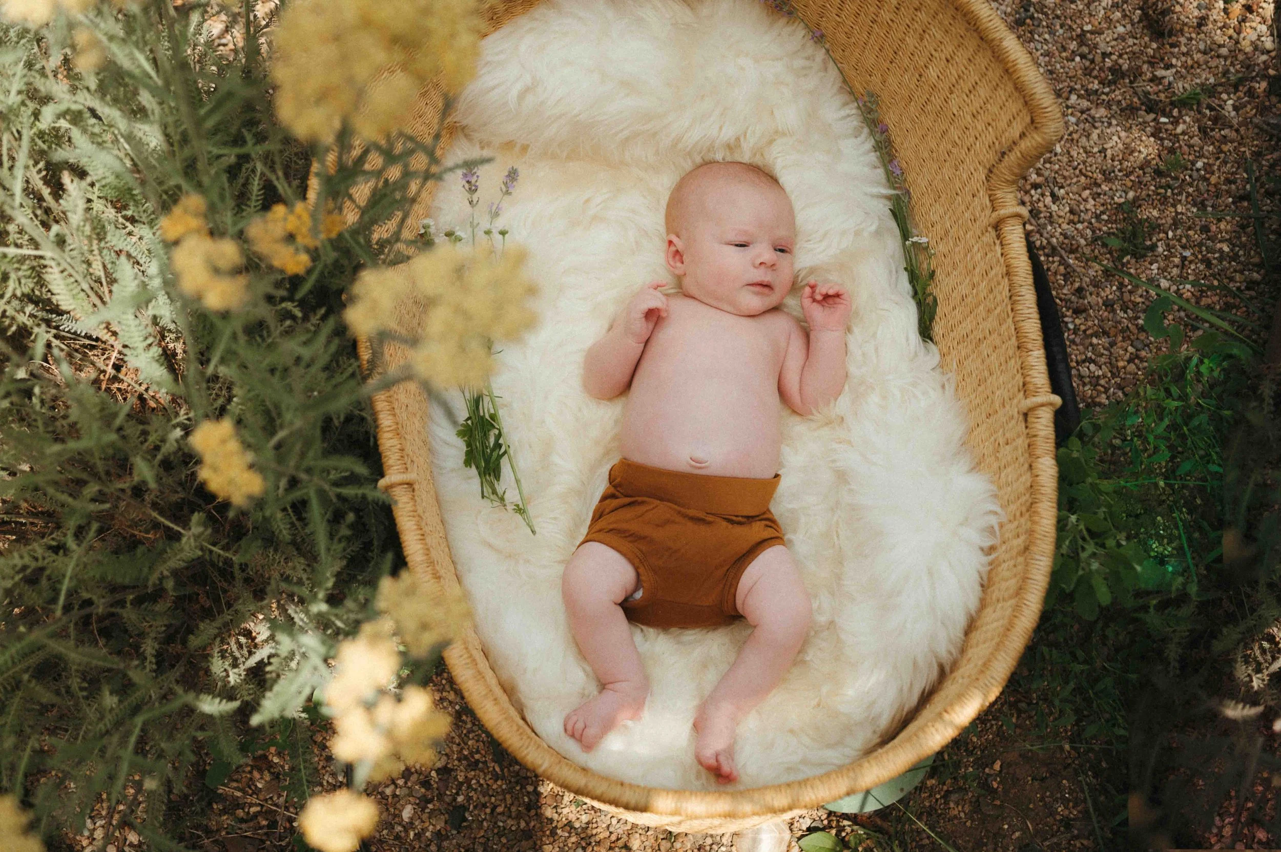 A baby lying in a wicker basket with a soft white blanket inside, surrounded by greenery and yellow flowers outdoors.