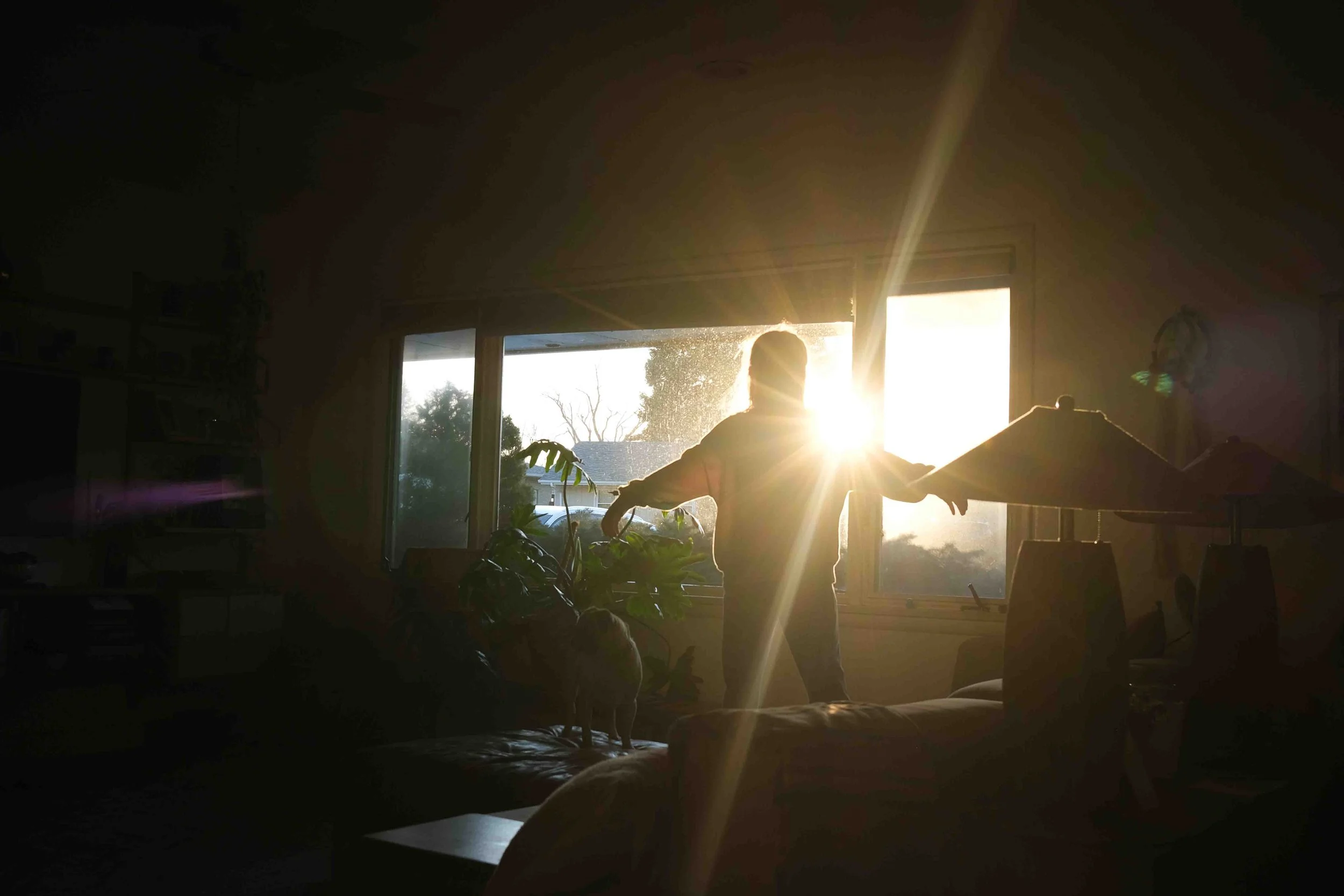 Photo of child at home in front of sunshine.