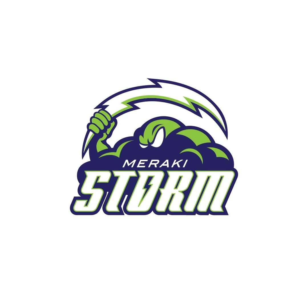logos_merakiStorm.jpg