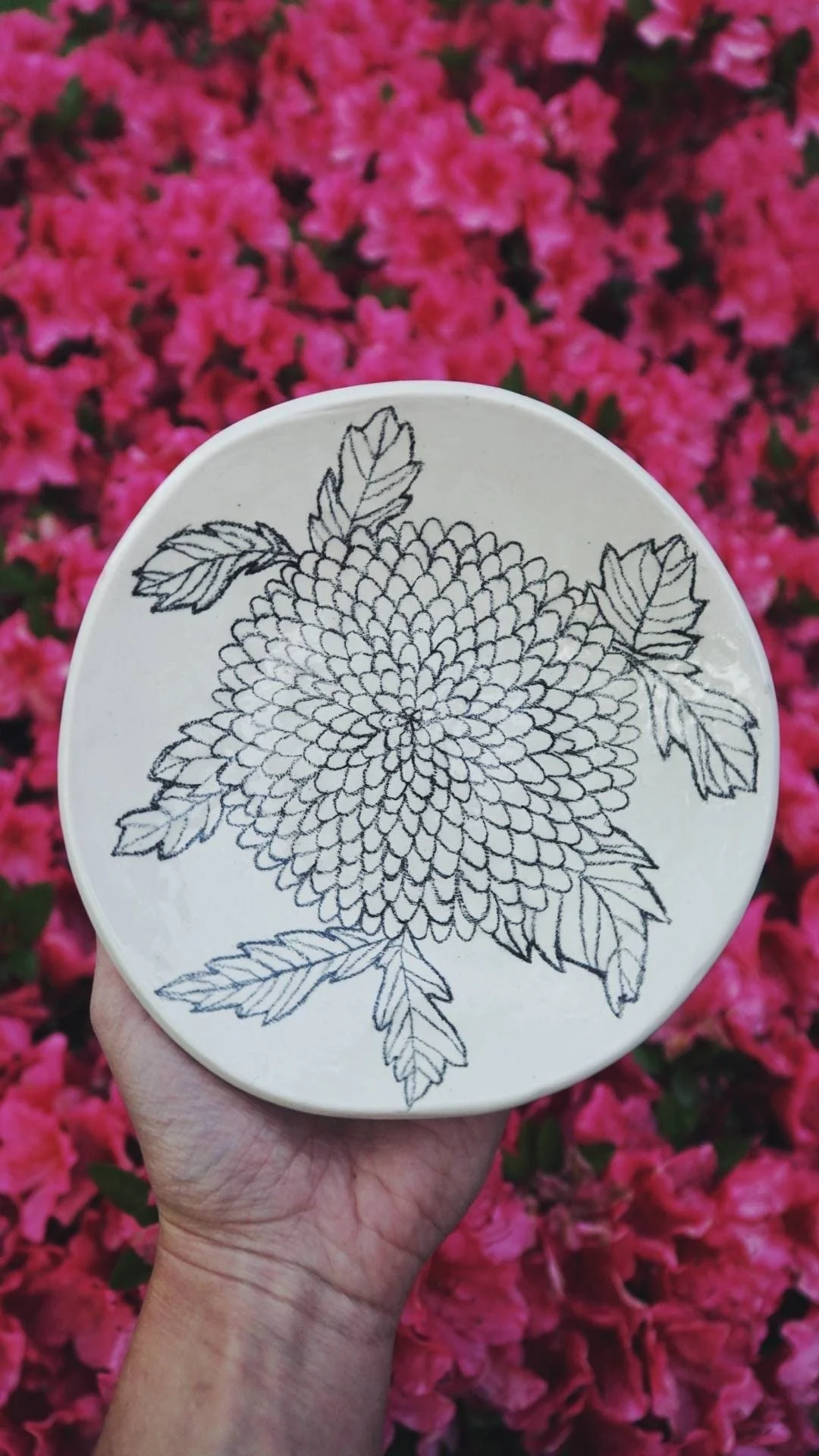 A hand holding a white round object with a black line drawing of a chrysanthemum flower with leaves on a pink flower background.