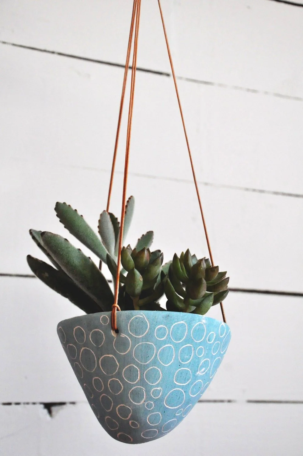 Hanging pot with assorted succulents against a white wooden wall.