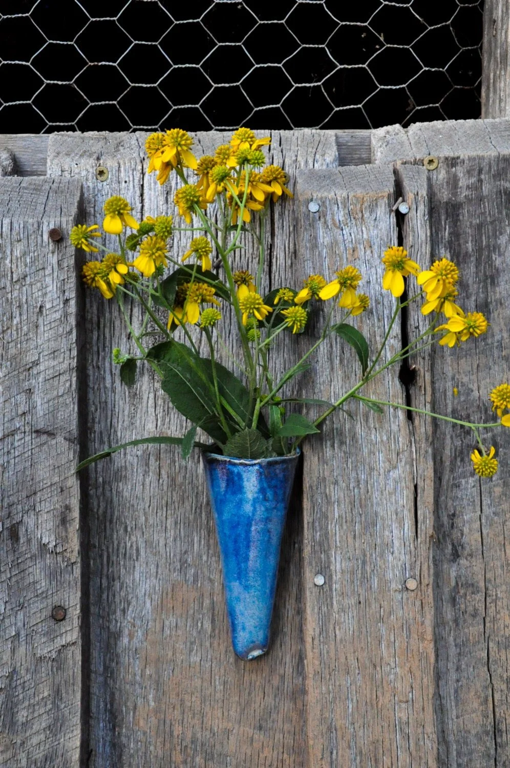 Yellow flowers in a blue vase hanging on a weathered wooden fence with chicken wire behind.