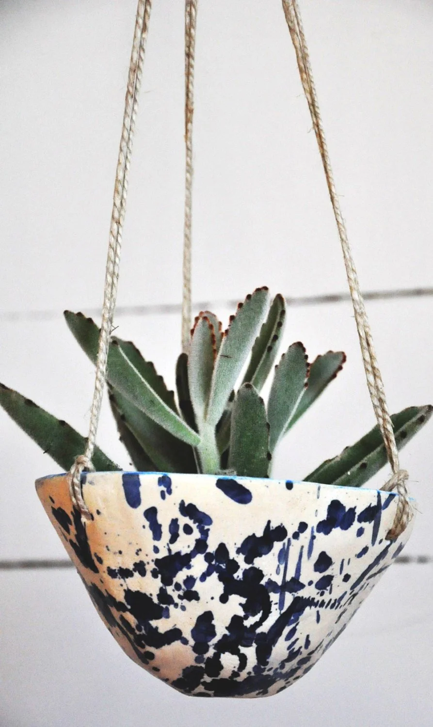 Hanging planter with a green succulent plant against a white background.