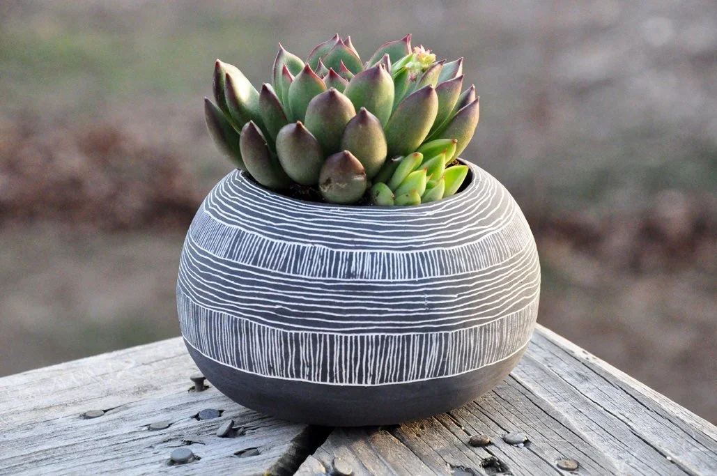 A round ceramic pot with white horizontal lines containing green and purple succulents, placed on a weathered wooden surface outdoors.