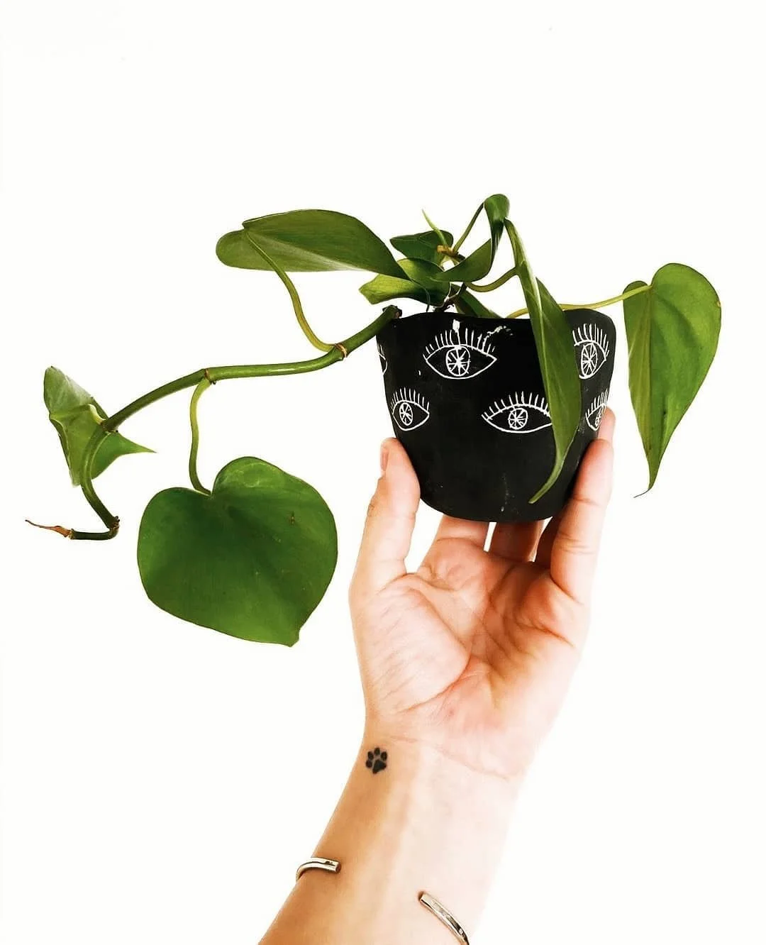 hand holding mini planter