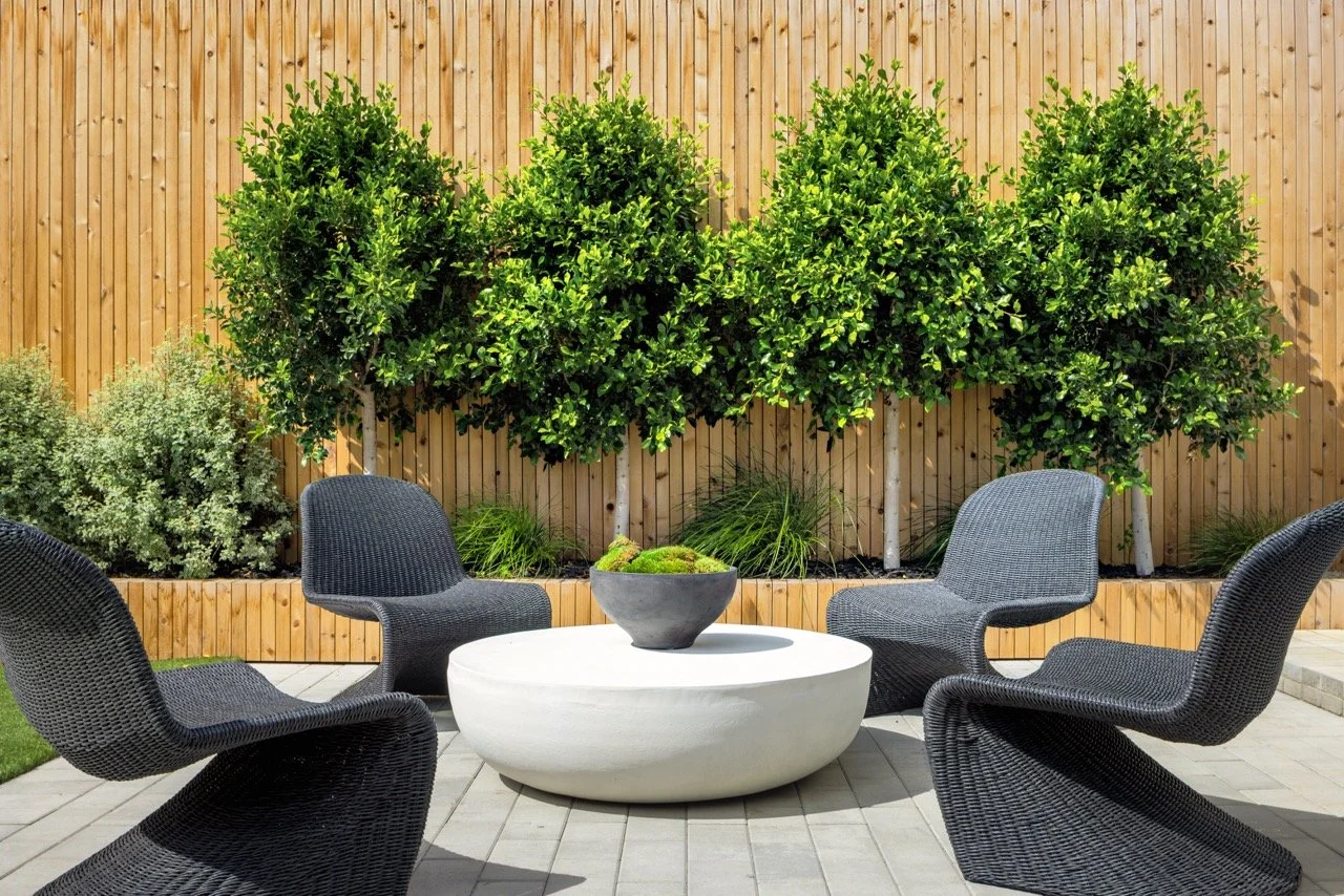 6 Roanoak, SF-50 Large.jpeg