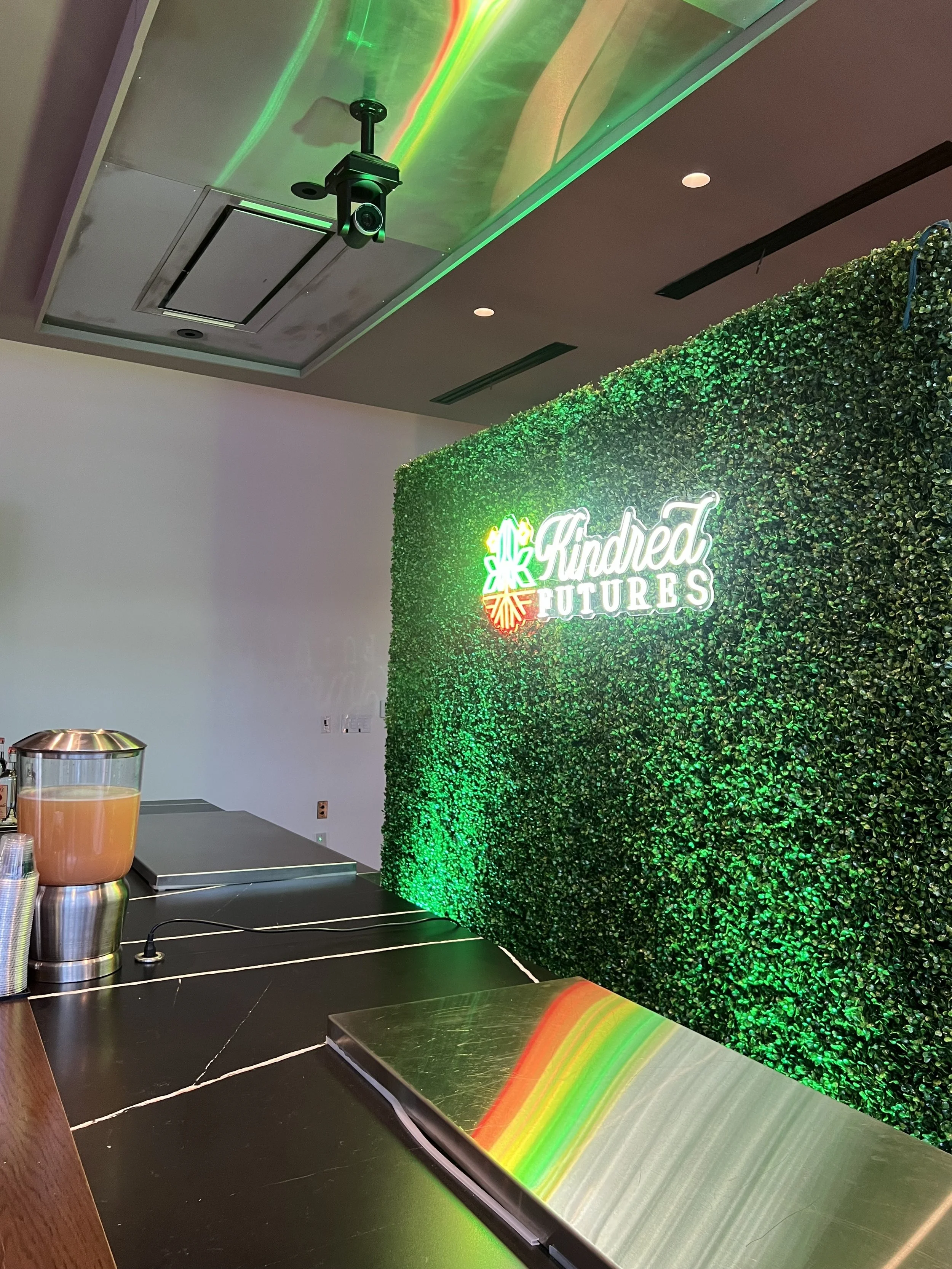 Boxwood Hedge Wall Rental