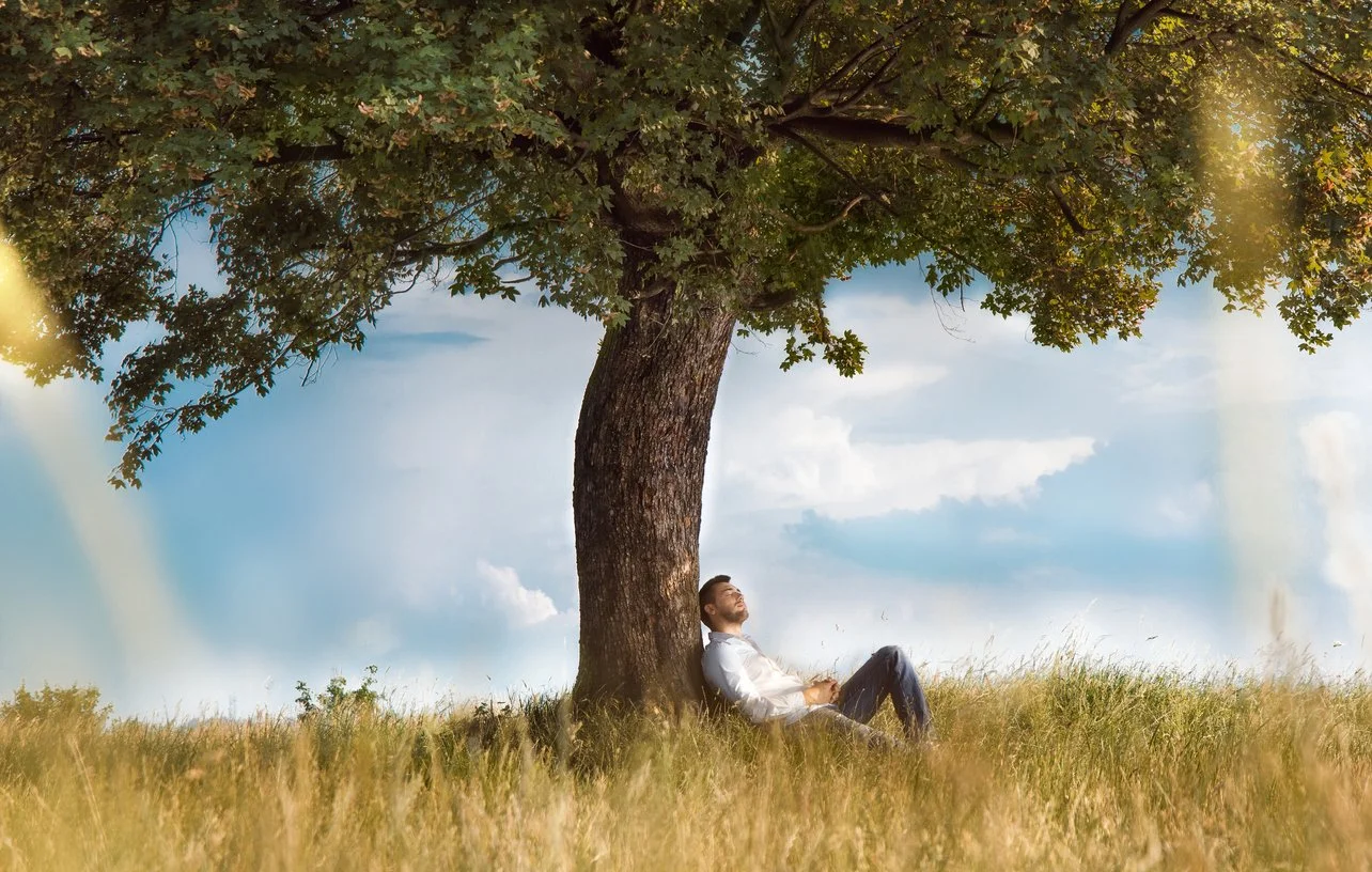 A man sitting on the grass under a large tree, relaxing with his eyes closed, on a sunny day with partly cloudy sky.