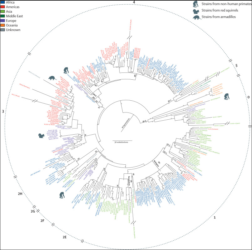 A circular phylogenetic tree diagram illustrating genetic relationships among strains from non-human primates, red squirrels, and armadillos, with geographic regions color-coded: Africa, Americas, Asia, Middle East, Europe, Oceania, and Unknown.