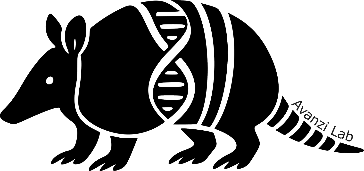 Avanzi Lab