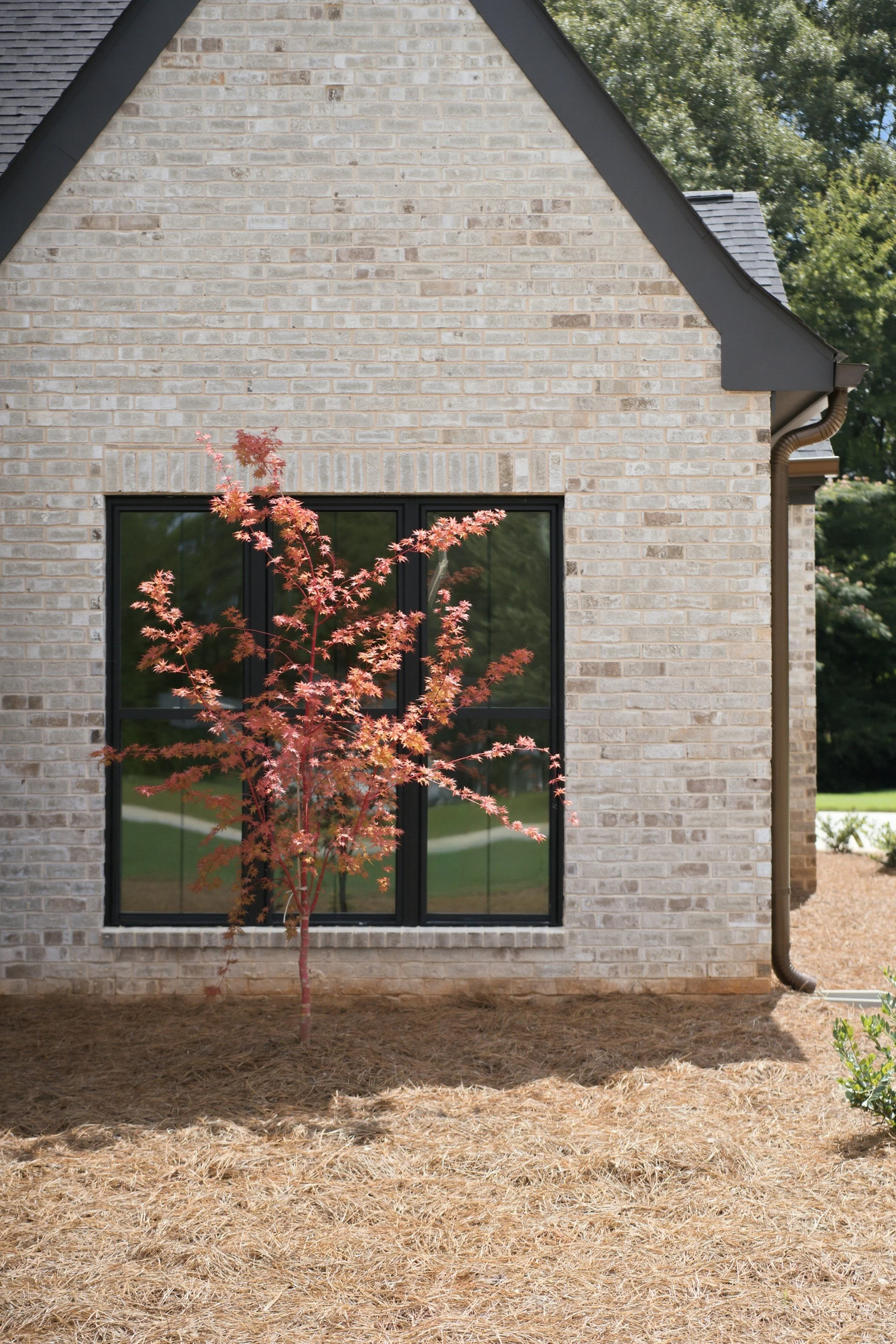 71-Sycamore Detail-5.jpg