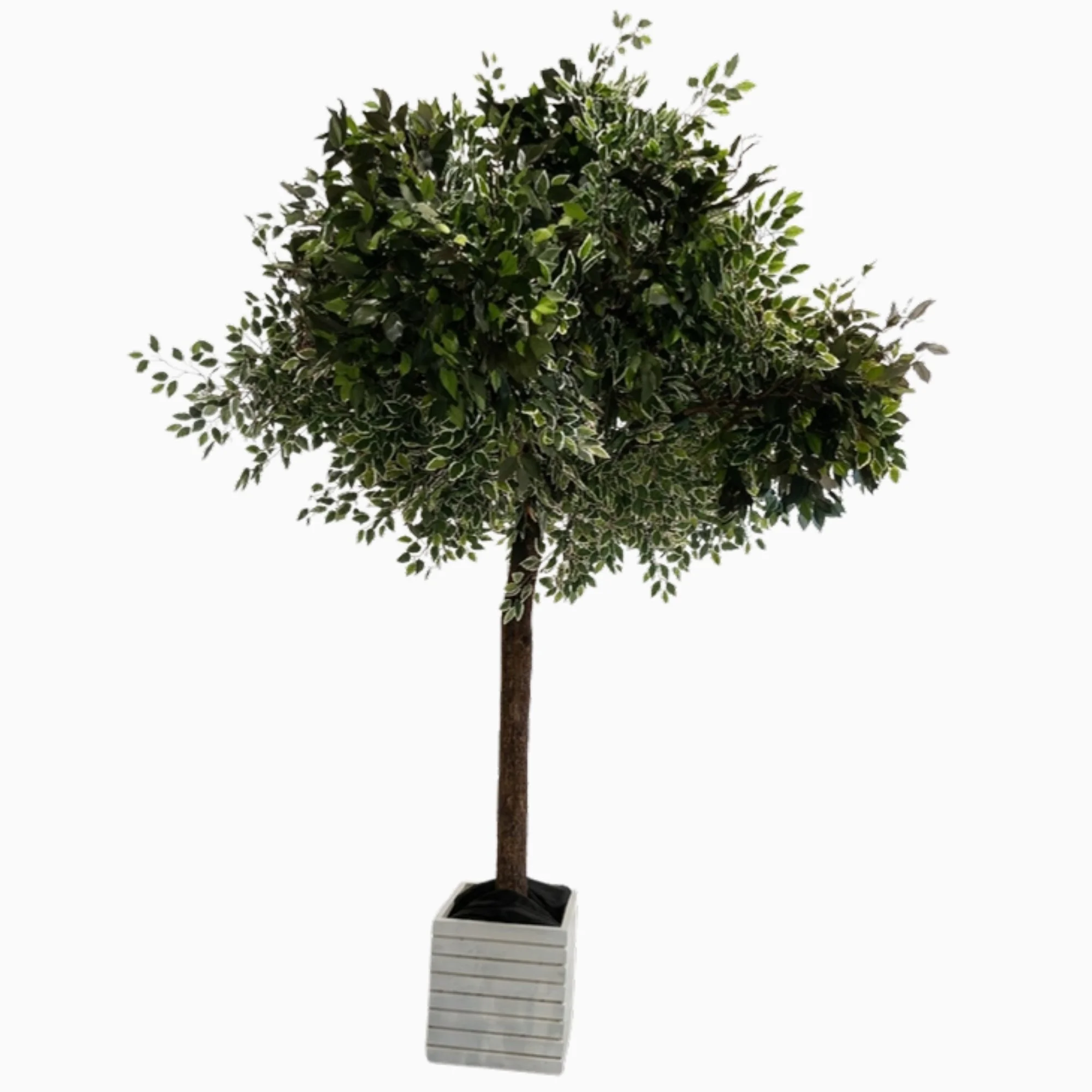 artificial-tree-in-planter.jpg