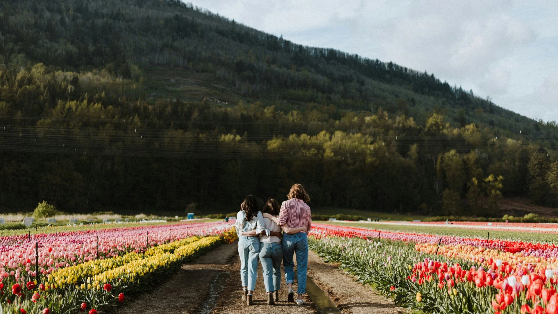 Women walking together through a colourful tulip field with mountains, symbolising community, nature, and holistic wellness.