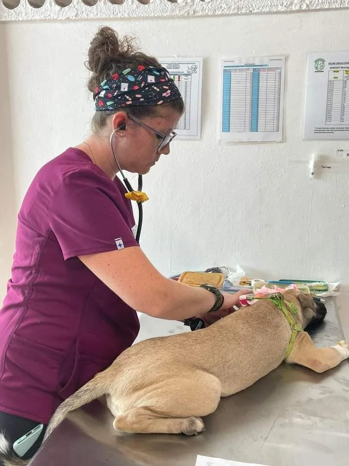 Amanda Hackerott2.jpg