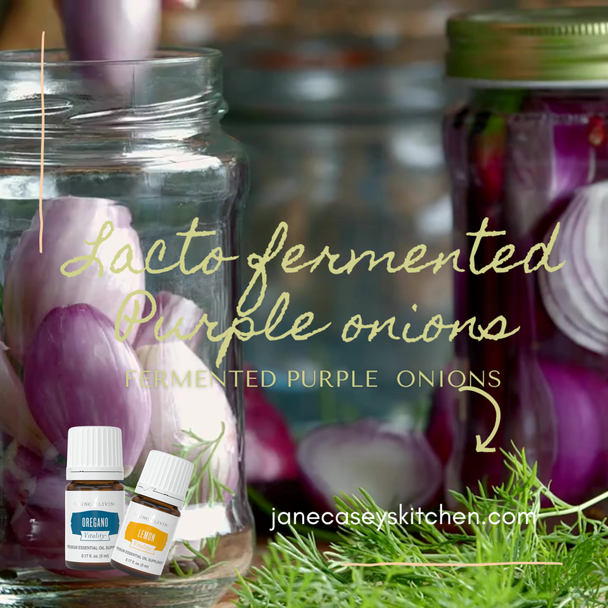 Low Histamine Fermented Purple Onions for Gut &amp; Brain Health