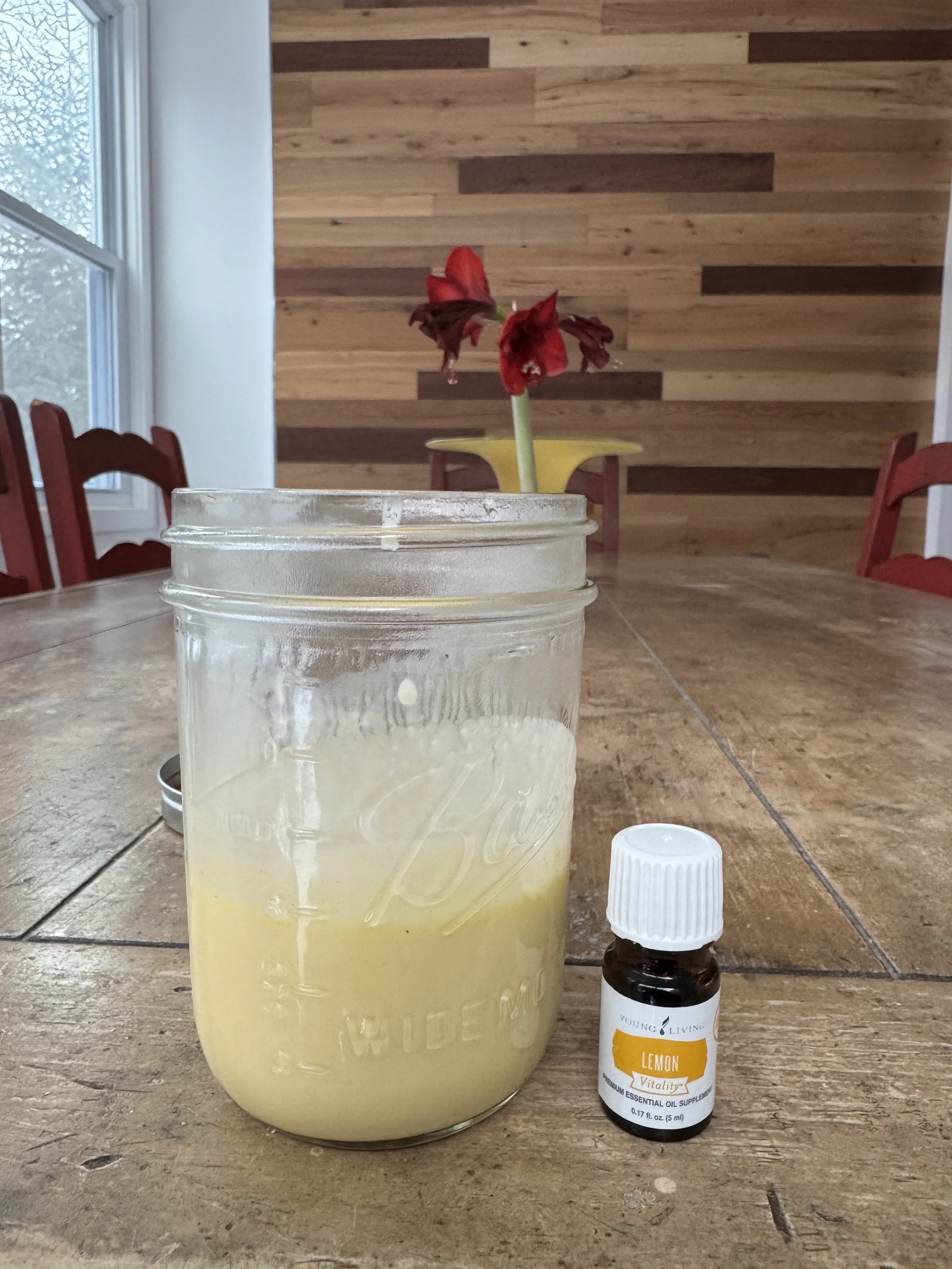 home made mayonnaise with lemon oil