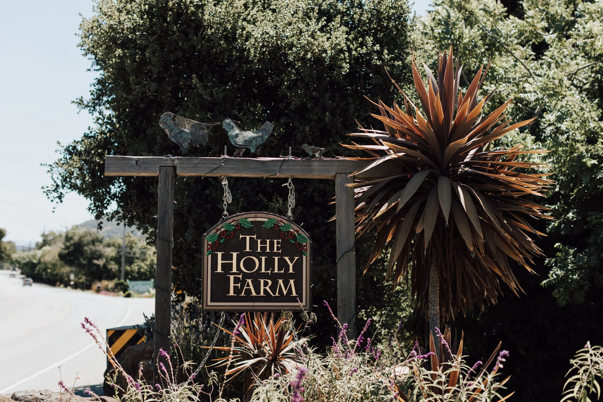 THEDELAURAS_THEHOLLYFARM_CARMEL_WEDDING_JILLIANRILEY_0001.jpg