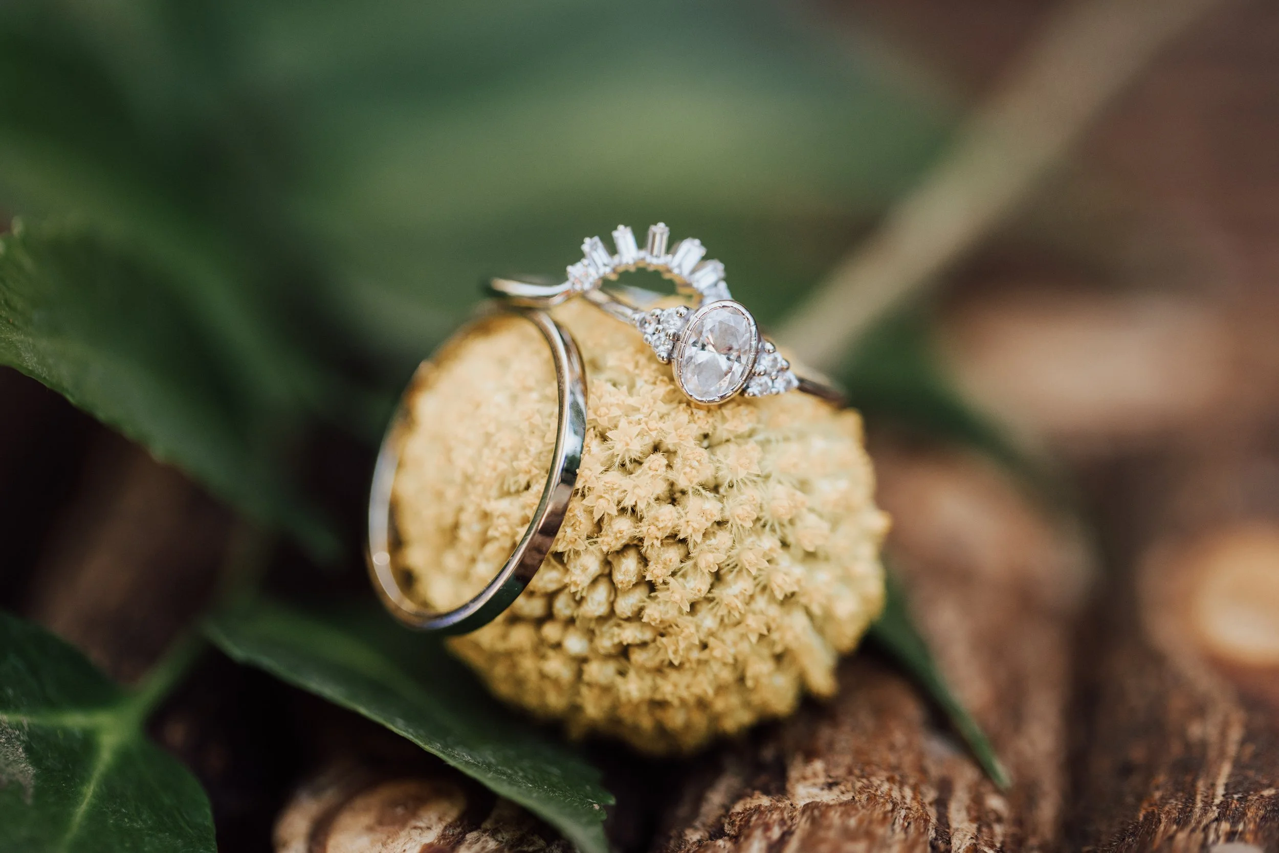 THEDELAURAS_THEHOLLYFARM_CARMEL_WEDDING_JILLIANRILEY_0053.jpg