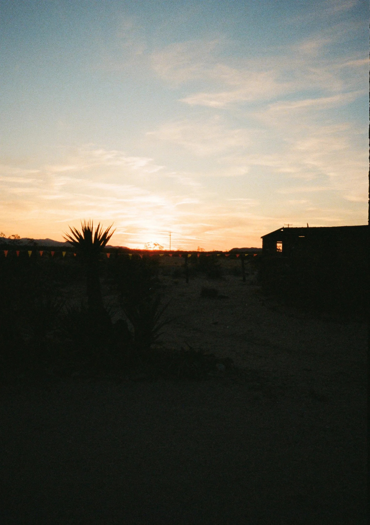 09010013.JPG