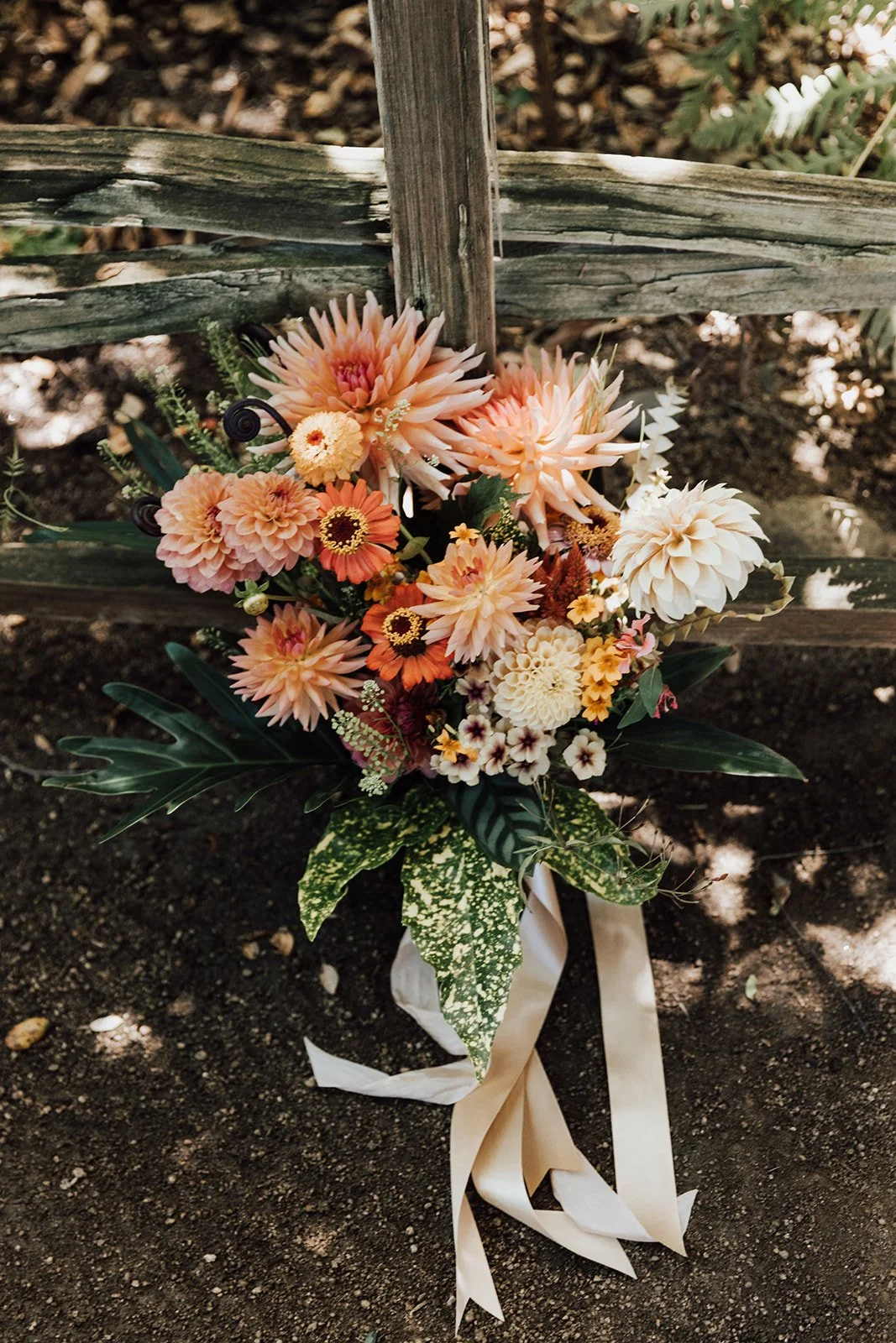 THEDELAURAS_THEHOLLYFARM_CARMEL_WEDDING_JILLIANRILEY_0071.jpg
