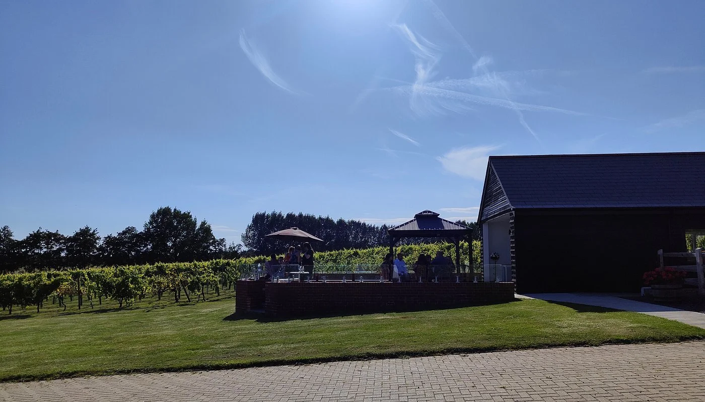 Mersea Vineyard 