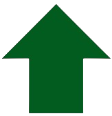 Scroll to Top