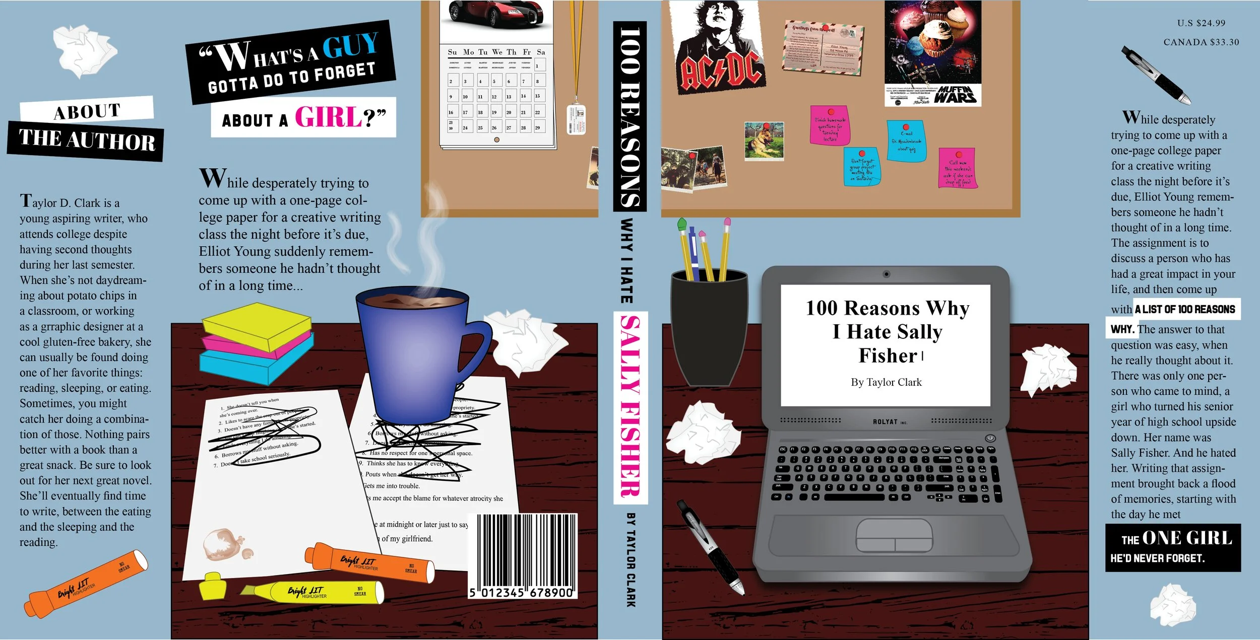 Book Cover: 100 Reasons Why I Hate Sally Fisher, 2017